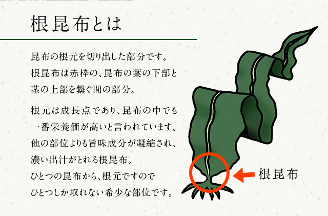 北海道礼文島産　根昆布 900g（300g×3個） 魚貝類 こんぶ 