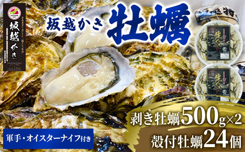 兵庫県赤穂市のふるさと納税  牡蠣 坂越かき 剥き牡蠣 500g×2、殻付き牡蠣 24個 軍手・オイスターナイフ付き[ 生牡蠣 かき カキ 生食 冬牡蠣 ] 魚貝類 剥き身