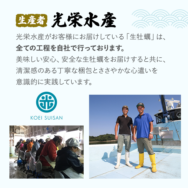 兵庫県赤穂市のふるさと納税  牡蠣 坂越かき 剥き牡蠣 300g×2、殻付き牡蠣 12個 軍手・オイスターナイフ付き[ 生牡蠣 かき カキ 生食 冬牡蠣 ] 魚貝類 剥き身