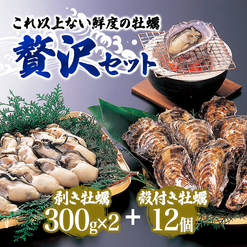 兵庫県赤穂市のふるさと納税  牡蠣 坂越かき 剥き牡蠣 300g×2、殻付き牡蠣 12個 軍手・オイスターナイフ付き[ 生牡蠣 かき カキ 生食 冬牡蠣 ] 魚貝類 剥き身