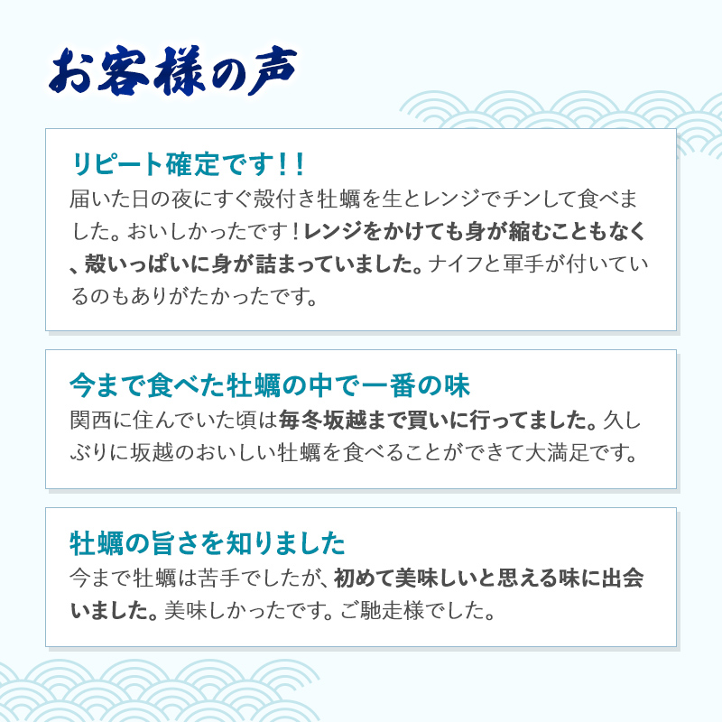 兵庫県赤穂市のふるさと納税  牡蠣 坂越かき 剥き牡蠣 300g×2、殻付き牡蠣 12個 軍手・オイスターナイフ付き[ 生牡蠣 かき カキ 生食 冬牡蠣 ] 魚貝類 剥き身