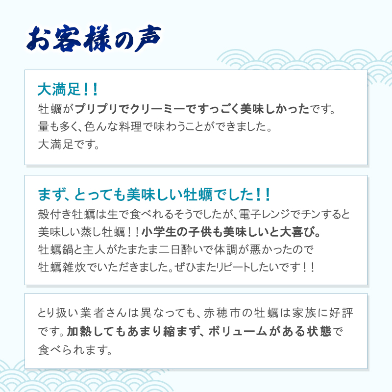 兵庫県赤穂市のふるさと納税  牡蠣 坂越かき 剥き牡蠣 500g×2、殻付き牡蠣 24個 軍手・オイスターナイフ付き[ 生牡蠣 かき カキ 生食 冬牡蠣 ] 魚貝類 剥き身