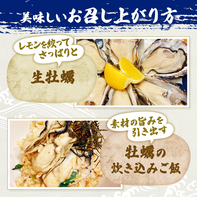 兵庫県赤穂市のふるさと納税  牡蠣 坂越かき 剥き牡蠣 300g×2、殻付き牡蠣 12個 軍手・オイスターナイフ付き[ 生牡蠣 かき カキ 生食 冬牡蠣 ] 魚貝類 剥き身