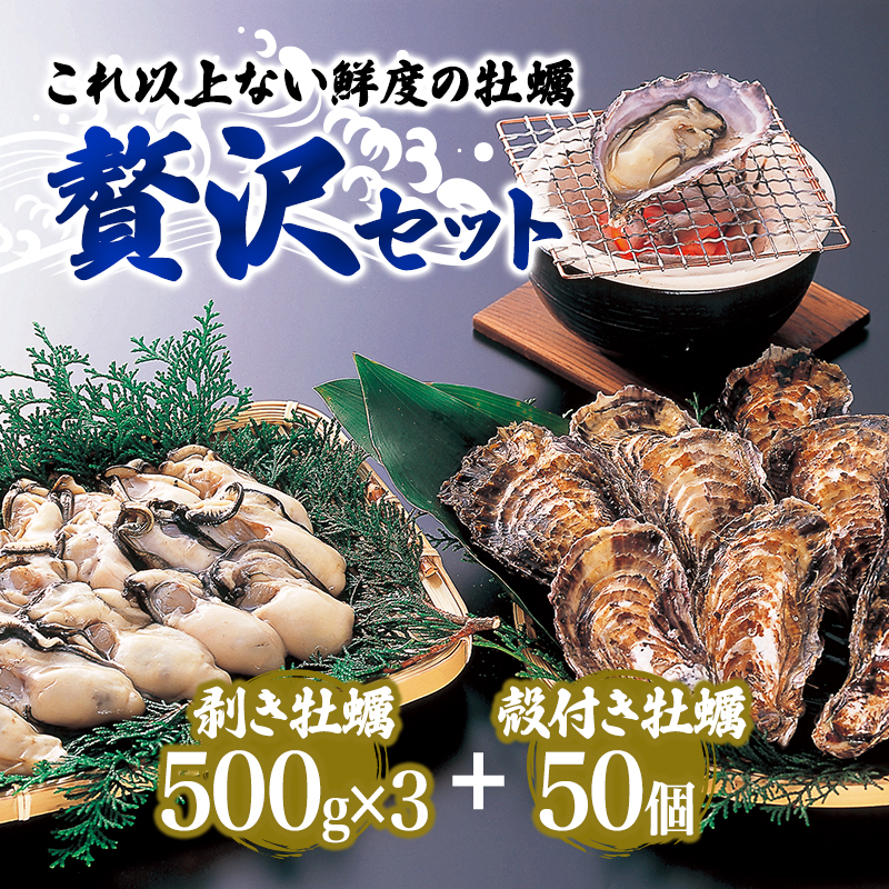 兵庫県赤穂市のふるさと納税  牡蠣 坂越かき 剥き牡蠣 500g×2、殻付き牡蠣 36個 軍手・オイスターナイフ付き[ 生牡蠣 かき カキ 生食 冬牡蠣 ] 魚貝類 剥き身
