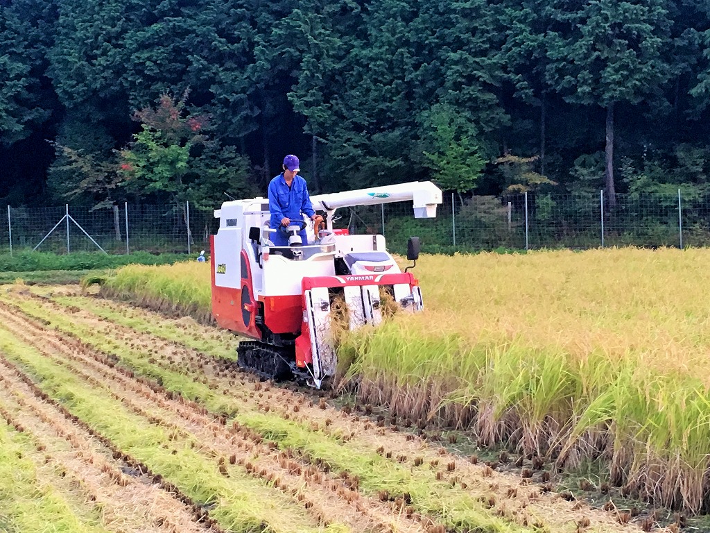 醸し人九平次「彼の地」（720ml）　～西脇市産山田錦使用日本酒（純米大吟醸）～