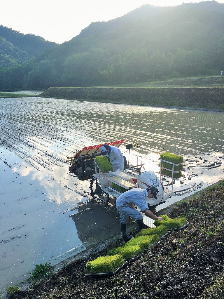 兵庫県西脇市のふるさと納税 「醸し人九平次 純米大吟醸」飲み比べ５本セット（720ml×5本）《西脇市産山田錦使用日本酒》 （62-6）
