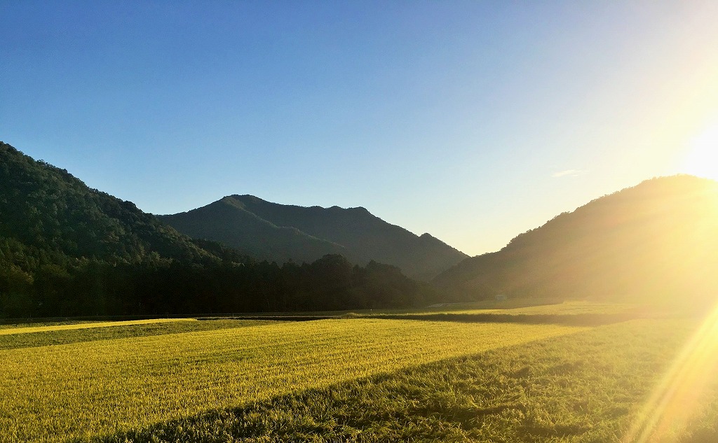 兵庫県西脇市のふるさと納税 「醸し人九平次 純米大吟醸」飲み比べ５本セット（720ml×5本）《西脇市産山田錦使用日本酒》 （62-6）