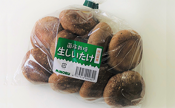 岡山県赤磐市のふるさと納税 生椎茸 ・ 乾燥椎茸 詰め合わせ セット 野菜 きのこ 椎茸 しいたけ 乾物 干し椎茸 干ししいたけ 野菜セット