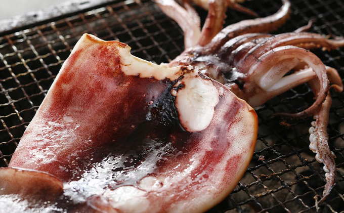 柔らか肉厚のスルメイカ一夜干し 3枚 魚貝類 イカ いか スルメイカ お酒 つまみ 特大 新鮮 保存 冷凍 国産 送料無料 酒の肴 酒のつまみ 