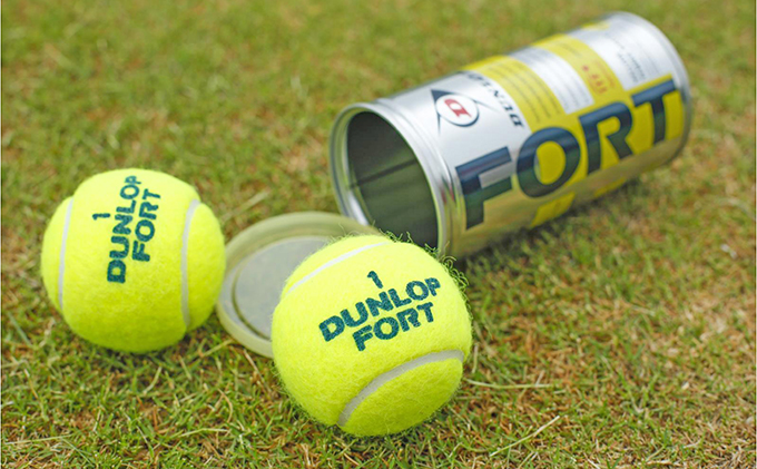 【関西唯一】天然芝テニスコート（1時間）利用券＋テニスボールプレゼント チケット 入場券 優待券 