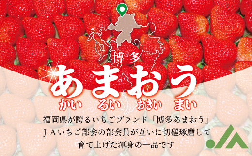 福岡県福津市のふるさと納税 【2026年2月より順次発送】★大玉規格★博多あまおう4パック　約1,120g[G2244]