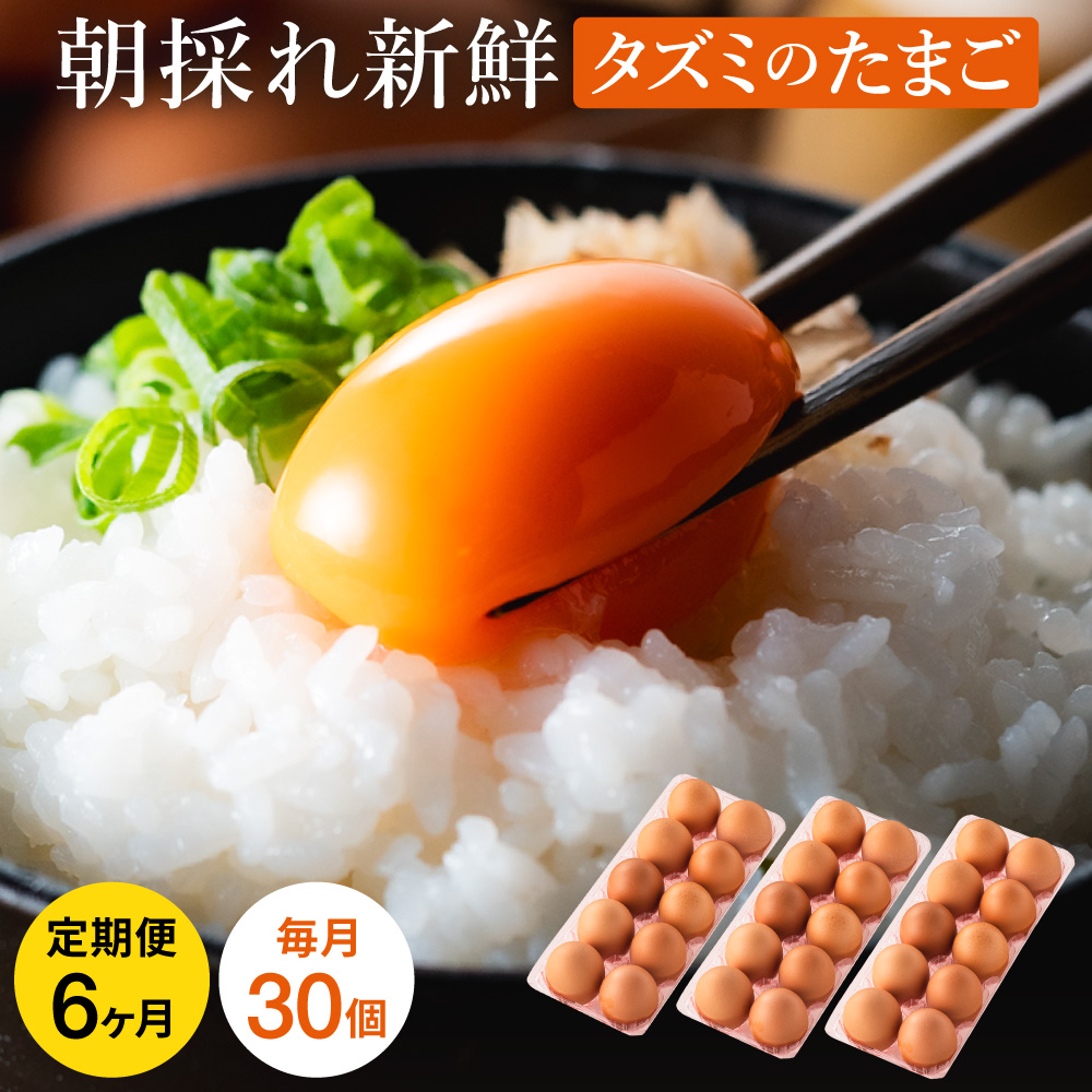 ★TVで紹介されました★【定期便】タズミの