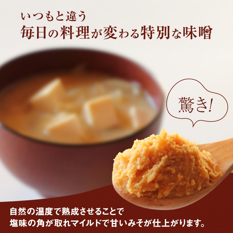 志賀高原みそ【金印】15割糀「こし」「粒」各800g 味噌 米味噌 調味料 