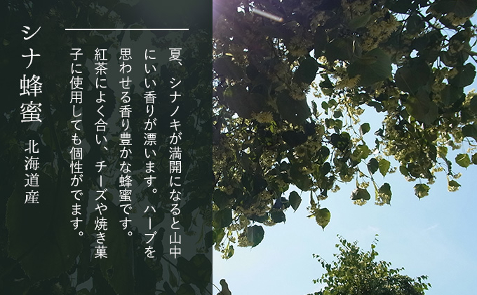 【国産純粋蜂蜜】北海道産 はちみつ2種食べ比べ 400g (200g×2本)アカシア・シナ［ナルセ養蜂場］【 はちみつ ハチミツ 蜂蜜 ハニー 健康 美容 料理  純粋 希少 ギフト プレゼント セット 食べ比べ 詰め合わせ 自宅用 家庭用 北海道 十勝 幕別 】