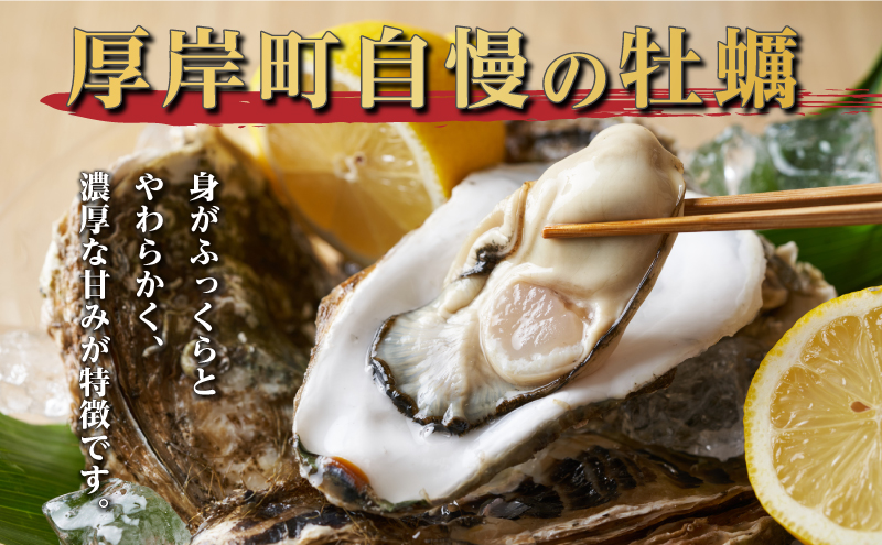 定期便 3ヶ月 北海道 厚岸産 牡蠣 Lサイズ 20個 (各回20個×3ヶ月分,合計60個) 殻付き 生食 カキナイフ付き かき カキ 生牡蠣 魚介類 貝 マルえもん