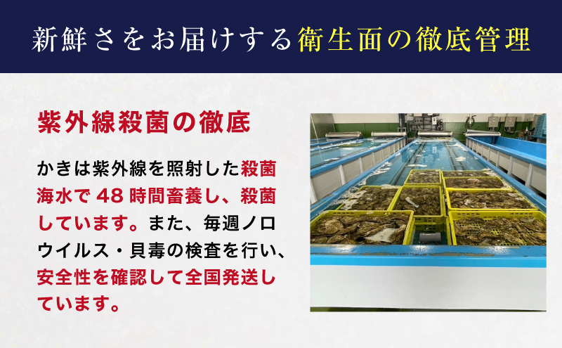定期便 3ヶ月 北海道 厚岸産 牡蠣 Lサイズ 20個 (各回20個×3ヶ月分,合計60個) 殻付き 生食 カキナイフ付き かき カキ 生牡蠣 魚介類 貝 マルえもん