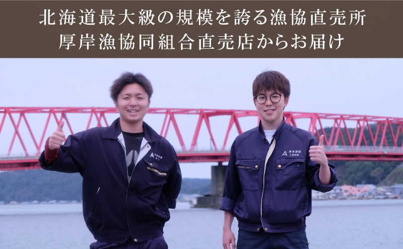 定期便 3ヶ月 北海道 厚岸産 牡蠣 Lサイズ 20個 (各回20個×3ヶ月分,合計60個) 殻付き 生食 カキナイフ付き かき カキ 生牡蠣 魚介類 貝 マルえもん