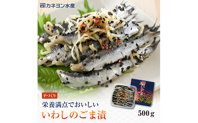 惣菜 いわし こはだ 計1kg ごま漬 詰め合わせ セット カネヨン水産 おかず 食べ比べ おつまみ つまみ 酒の肴 漬け魚 漬魚 魚 海産物 海の幸 魚介 魚介類 水産 水産物 郷土料理 ご当地 ご当地グルメ かたくちいわし 冷蔵 冷蔵配送 千葉 九十九里