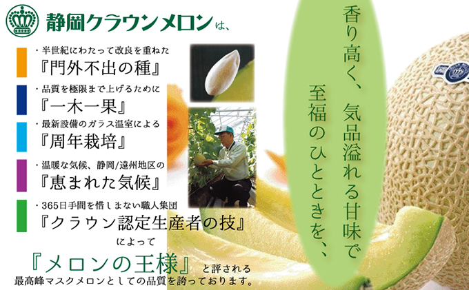 クラウンメロン（白等級）中玉　2玉入 果物類 メロン青肉 