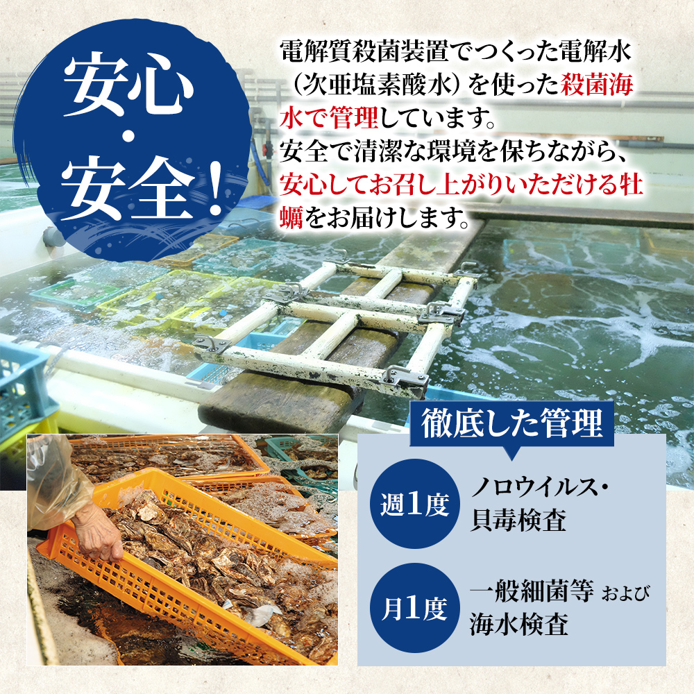 北海道 厚岸産 殻付牡蠣の食べ比べセット！（生食用）  牡蠣 カキ かき 生食 生食用 生牡蠣  食べ比べ 魚貝類 