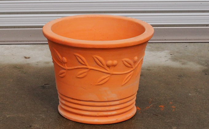 苗木 特大サイズ レモンの木鉢植え テラコッタ鉢 40cm 配送不可 北海道 沖縄 離島 れもん 檸檬 Lemon 観葉植物 ガーデニング 花 実 香り 