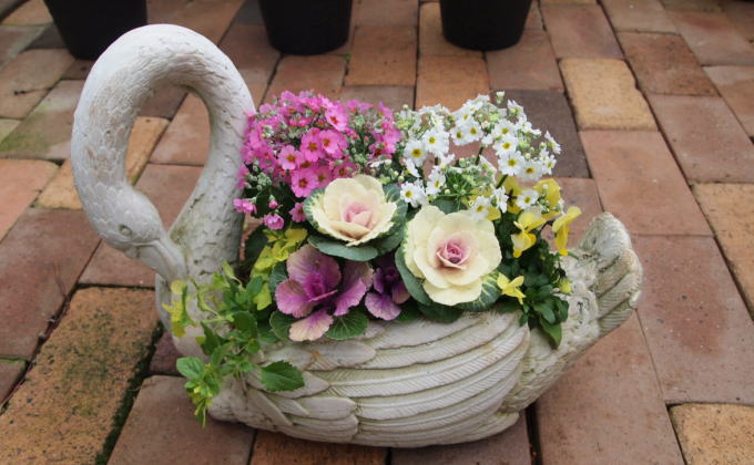 花 寄せ植え 季節のお花 白鳥型鉢 植物 ガーデン インテリア 