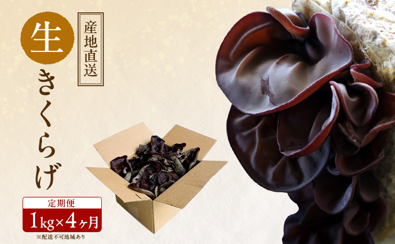 【 産地直送 】 有機JAS 生きくらげ 定期便 1kg×4ヶ月 オーガニック きくらげ きのこ 野菜 岡山県 玉野市 栽培期間中化学肥料不使用 栽培期間中農薬不使用 野菜セット 