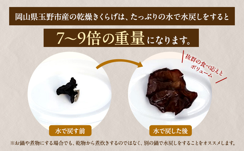 有機JAS 乾燥 きくらげホール 500g オーガニック きくらげ きのこ 野菜 岡山県 玉野市 栽培期間中化学肥料不使用 栽培期間中農薬不使用 野菜セット 