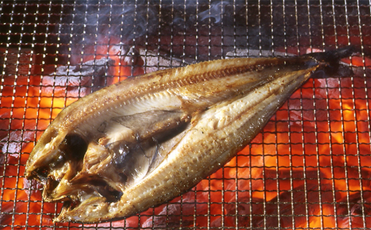 26-50 【年内配送12月15日入金まで】真ほっけ一夜干し12枚セット within2025