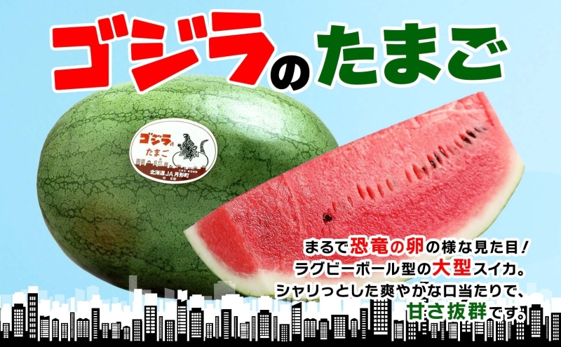 北海道 大玉 スイカ ゴジラのたまご 木箱入り 1玉 約8kg 2026年7月初旬より順次出荷 すいか 西瓜 果物 フルーツ 旬 希少 貴重 甘い ユニーク 国産 産地直送 ギフト 贈答品 お取り寄せ エーコープつきがた