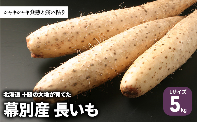北海道 十勝の大地が育てたシャキシャキ食感と強い粘り 幕別産 長いも Lサイズ 5kg ［木川商店］【 長いも 長芋 ながいも ナガイモ とろろ 芋 いも 野菜 10kg 5kg  産地直送 旬 濃厚 北海道 十勝 幕別 】 