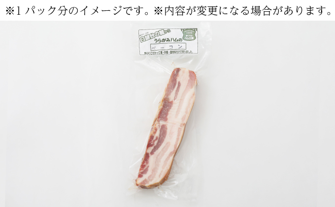 定期便 全3回 / 十勝の無添加豚 ベーコンブロック900g 計2.7kg［うらがみミート］ 無塩せき 保存料・結着剤不使用【 ベーコン 肉 豚 国産 惣菜 おつまみ 料理 燻製 加工品 北海道 十勝 幕別 】