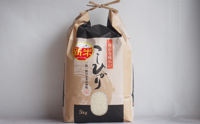 令和7年産 京都宮津市産コシヒカリ 5kg お米 白米 精米 コシヒカリ 5キロ 送料無料 ギフト ごはん ご飯 おにぎり お弁当 