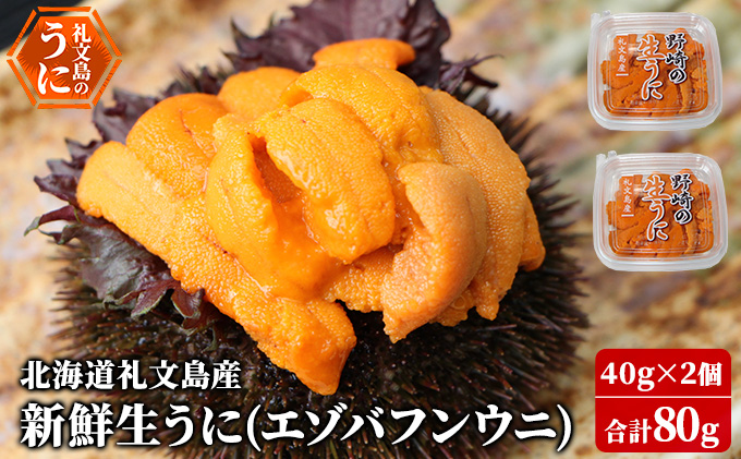 【北海道礼文町】先行予約 北海道 礼文島産 新鮮生うに( エゾバフンウニ)40g×2個 ウニ 雲丹 魚貝類 80g