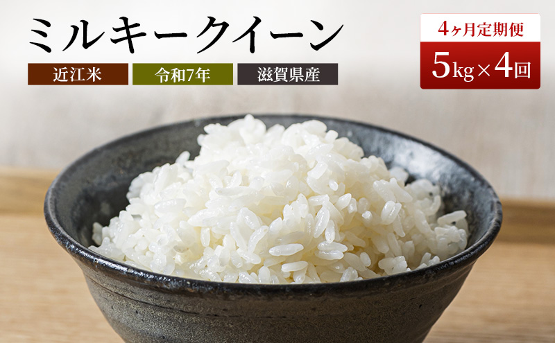 滋賀県豊郷町のふるさと納税 米 定期便 4ヶ月連続 近江米 ミルキークイーン 5kg 令和7年 お米 こめ コメ おこめ 白米 4回 お楽しみ