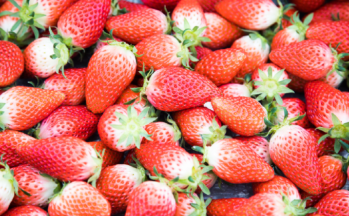 メリーベリー 章姫 いちご 約1.2kg（約300g×4パック）【配達不可：北海道・東北・新潟・沖縄・離島】 苺 イチゴ 果物類 フルーツ 