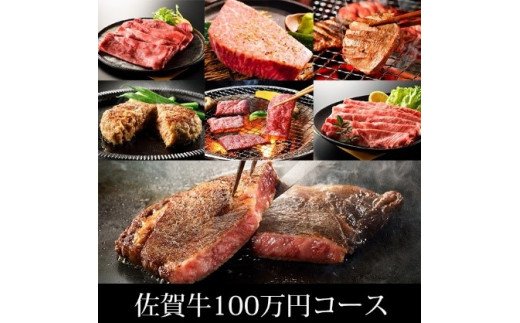 佐賀県みやき町のふるさと納税 BN047  ふるさと納税　訳あり　定期便　100万コース（佐賀牛、味付け牛タン、味付けホルモン、佐賀牛ハンバーグ等々、贅沢12回定期便）
