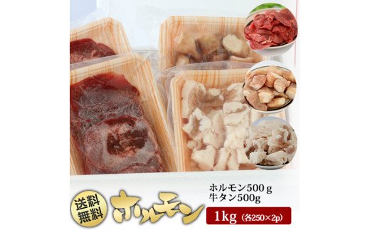 佐賀県みやき町のふるさと納税 BN036  味付け牛タン500gと味付け牛ホルモン2種セット