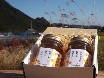 木村農園のはちみつ（170g×2本） 加工食品 蜂蜜 