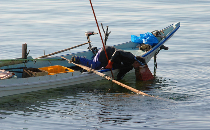 先行予約 北海道礼文島産 ウニの甘塩一夜漬け食べ比べセット（蝦夷ばふんうに・むらさきうに各5本） 魚貝類 雲丹 加工食品 ウニの甘塩一夜漬け 