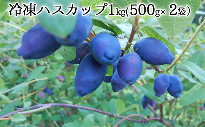 自家農園産・冷凍ハスカップ1kg（500g×2袋） 北海道 南富良野町 ハスカップ 果実 冷凍 大容量 冷凍ハスカップ 果物 フルーツ セット 詰め合わせ 