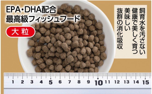 KGC033　錦鯉貴族 F 1kg 浮遊性 ＜最高級 フィッシュフード EPA・DHA配合 大粒 魚 餌＞【餌 えさ エサ】【観賞魚 餌やり】【水槽/熱帯魚/観賞魚/飼育】【生体】【アクアリウム/あくありうむ】