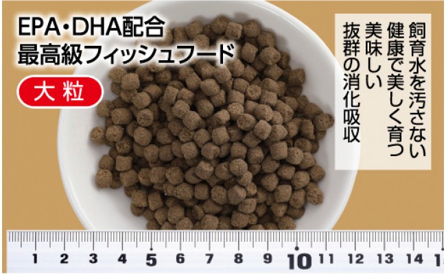 KGC034　錦鯉貴族 F 1kg 沈降性 ＜最高級 フィッシュフード EPA・DHA配合 大粒 魚 餌＞【餌 えさ エサ】【観賞魚 餌やり】【水槽/熱帯魚/観賞魚/飼育】【生体】【アクアリウム/あくありうむ】
