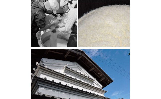 SSJ024　土佐しらぎく 斬辛 雄町 1800ml 1本＜高知 芸西村 仙頭酒造場 酒 日本酒 土佐 しらぎく＞