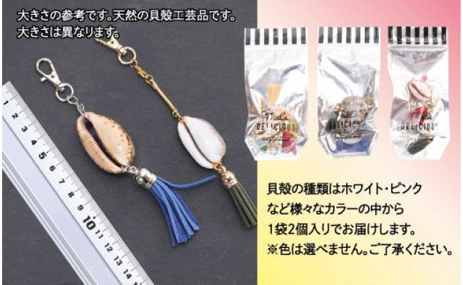 SCR001　緊急支援 バッグチャーム 2個 シェルクラフト 貝殻工芸 ＜高知の浜辺でとれた美しい貝殻のバッグチャーム＞キーホルダー