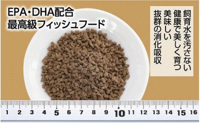 KGC008　GROW E クランブル 160g 中型熱帯魚用 ＜最高級 フィッシュフード EPA・DHA配合 沈降性 クランブルタイプ 魚 餌＞ プレコ 中型魚【餌 えさ エサ】【観賞魚 餌やり】【水槽/熱帯魚/観賞魚/飼育】【生体】【アクアリウム/あくありうむ】
