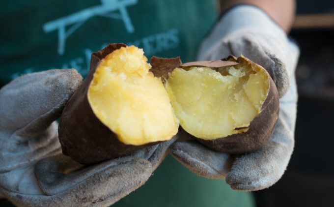 【 小豆島 】小豆島のサツマイモ〈 紅はるか 〉4kg さつまいも サツマイモ 芋 いも イモ 野菜 甘い おやつ 軽食 香川 香川県 土庄 土庄町