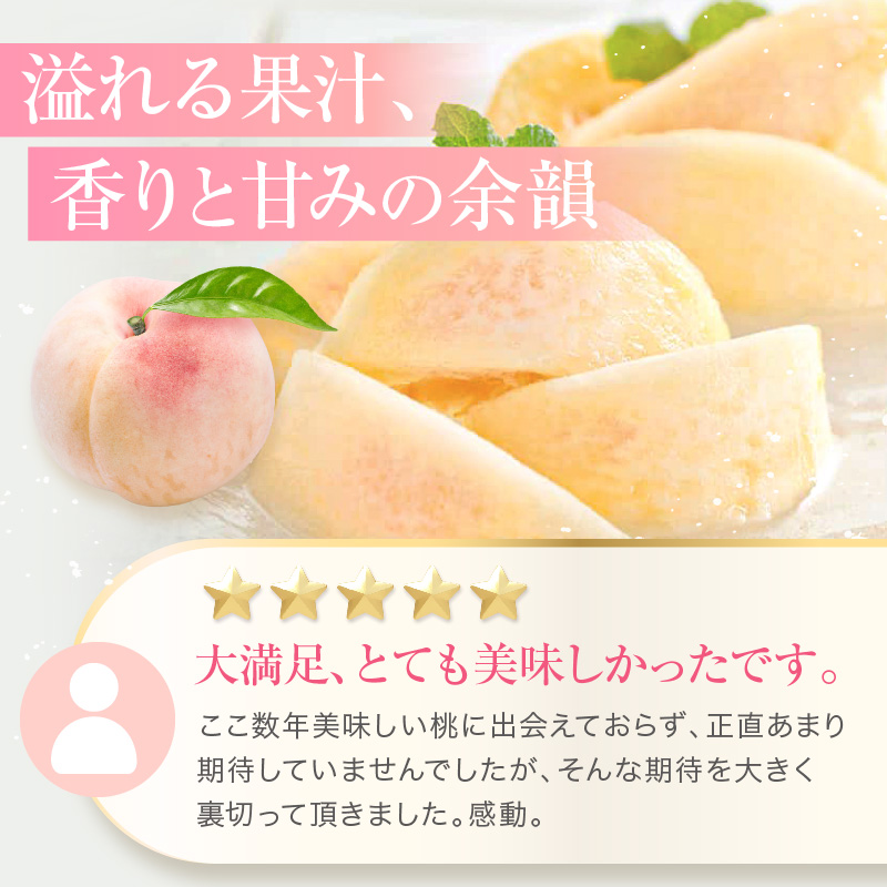岡山県赤磐市のふるさと納税 桃 2026年 先行予約 赤磐の 白桃 約1.5kg 5～7玉 JA晴れの国 糖度センサー選果 もも モモ 岡山県 赤磐市産 国産 フルーツ 果物 ギフト デザート 果肉