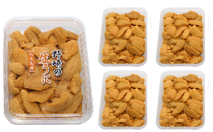 ウニ出品 宝うに [キタムラサキウニ（1個）]