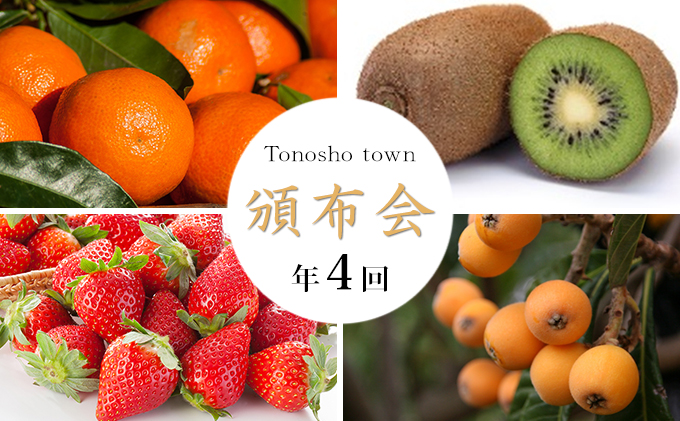 【香川県土庄町】【 小豆島 】【4回お届け】土庄町 季節の果物 定期便 フルーツ 果物 季節 旬 キウイ キウイフルーツ 香緑 いちご 苺 イチゴ 女峰 びわ 茂木びわ みかん 蜜柑 ミカン 温州みかん くだもの 国産 香川 香川県 土庄 土庄町